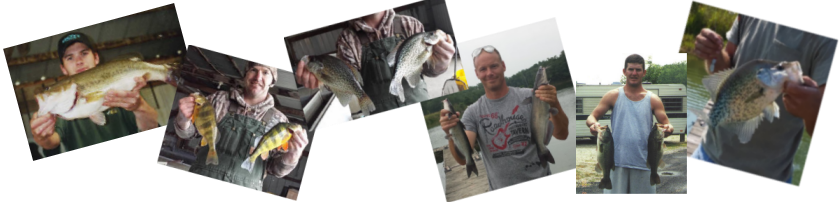 Bass, Perch, Crappie, Catfish, Bass, Crappie pictures